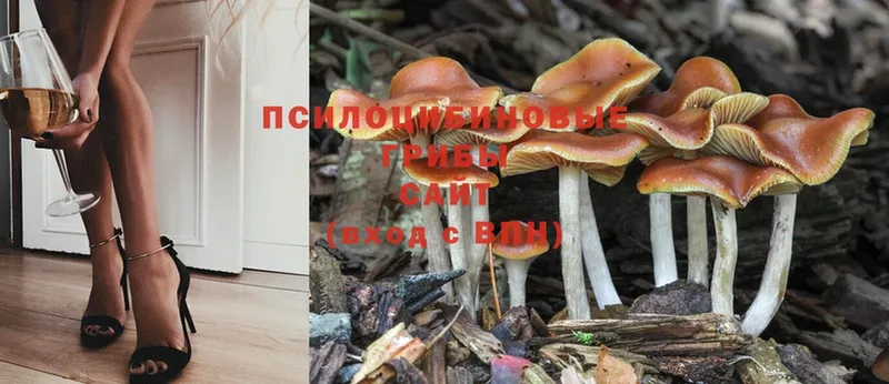 hydra вход  Златоуст  нарко площадка телеграм  Псилоцибиновые грибы MAGIC MUSHROOMS 